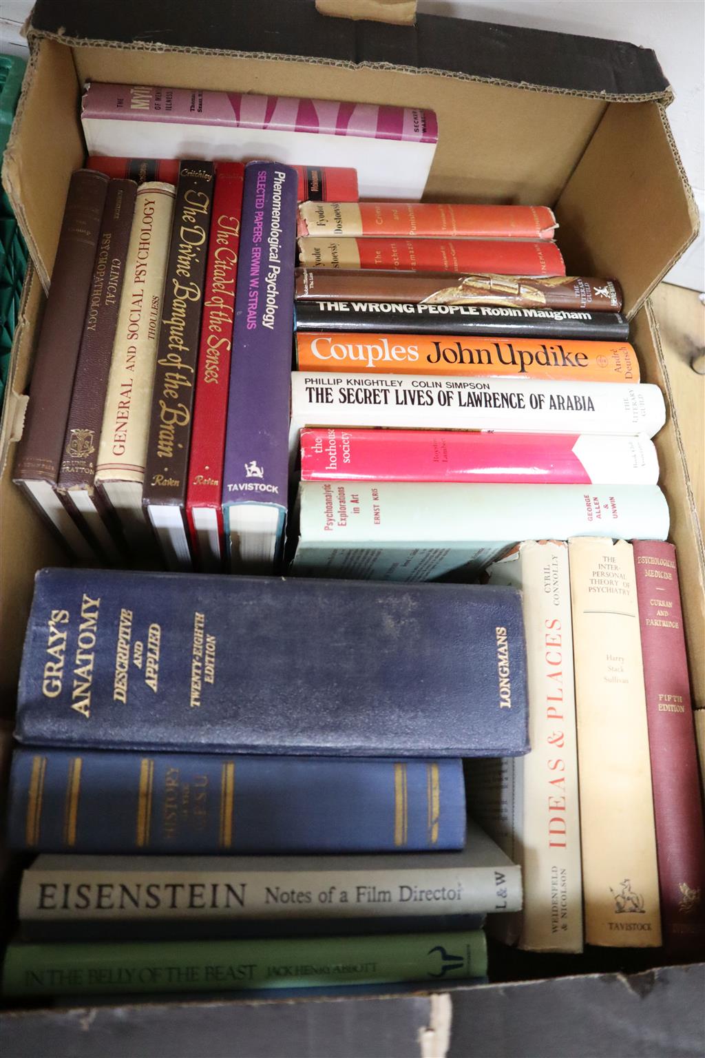 Three boxes of books, including Essays In Musical Analysis, Human Sexual Response, Tropic of Capricorn, The Divine Banquet of The Brain